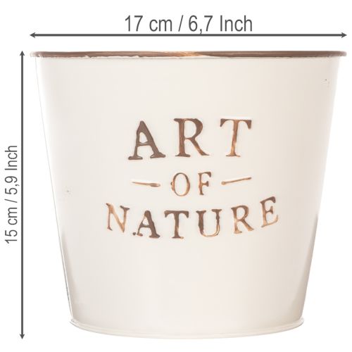 Cink virágcserép Art of Nature krémszínű Ø17.5cm M15cm | Floristik24.hu