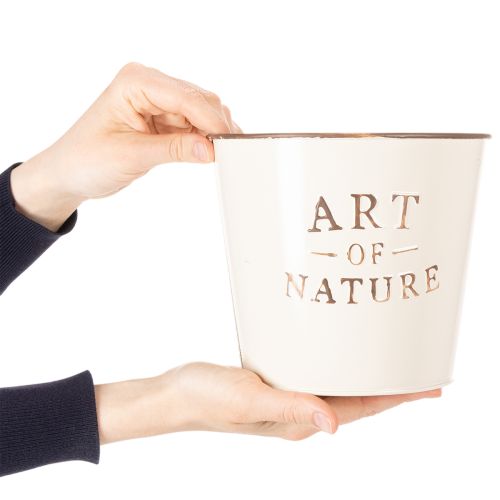 tételeket Cink virágcserép Art of Nature krémszínű Ø17.5cm M15cm