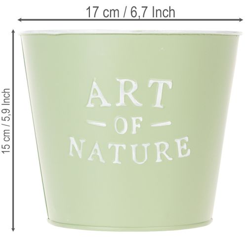 tételeket Cink virágcserép Art of Nature mentazöld Ø17.5cm M15cm