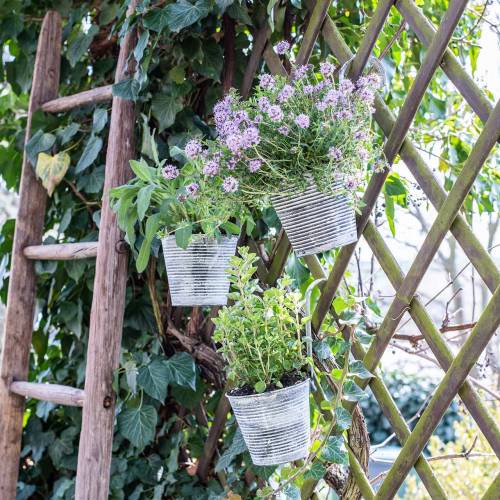 Floristik24 Virágcserép fém antik krém felakasztásához Ø13cm H11,5cm