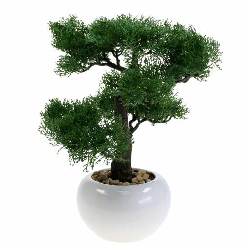 Floristik24 Mesterséges Bonsai fenyő cserépben H36cm