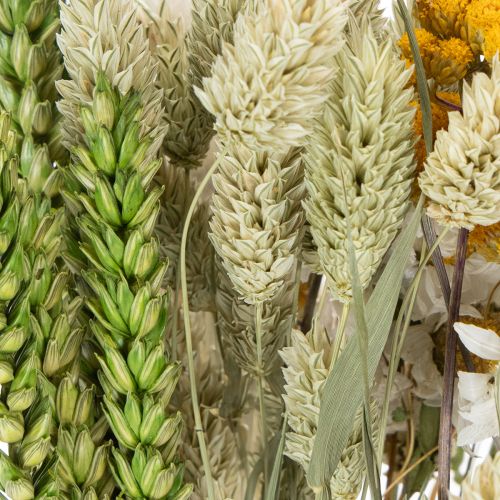 tételeket Szárított virágcsokor, elegáns szárított virágcsokor nappaliba, 50cm