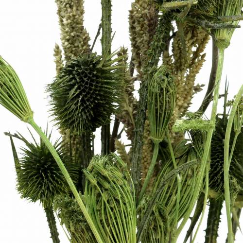 Floristik24 Vadvirág csokor natúr, zöld 25-60cm 70g