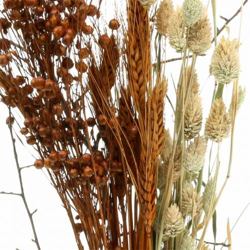 Floristik24 Vadvirág csokor természet, narancs 25-60cm 65g