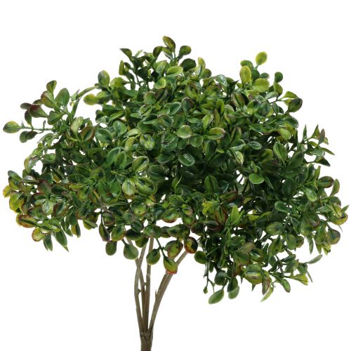 Floristik24 Buxus ág zöld 27cm