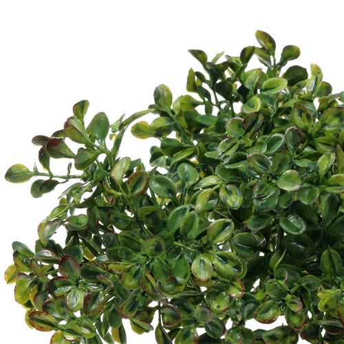 Floristik24 Buxus ág zöld 27cm