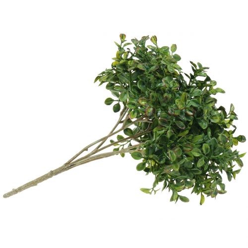 Floristik24 Buxus ág zöld 27cm