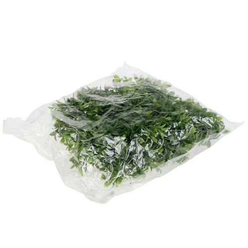 Floristik24 Buxwood girland zöld 180cm