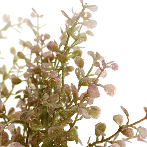 Floristik24 Buxwood ág rózsaszín, rózsaszín csillámmal 32cm