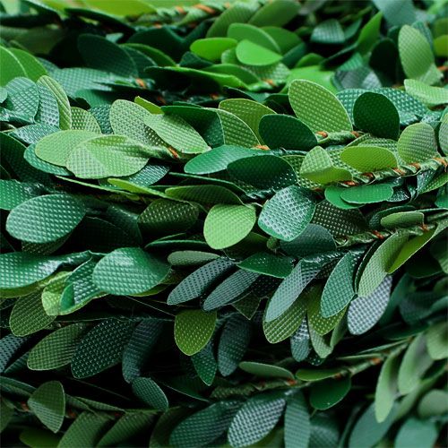 Floristik24 Dobozfüzér zöld 15m