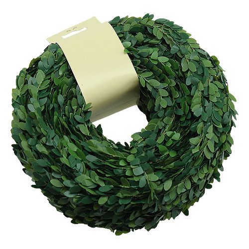 Floristik24 Dobozfüzér zöld 15m