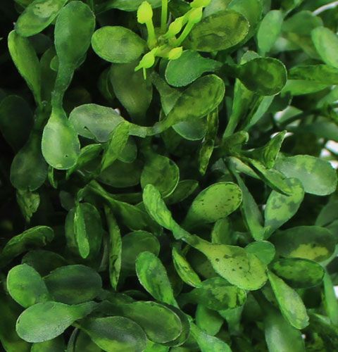 tételeket Dobozlabda Ø12cm Mesterséges zöld növények díszítés