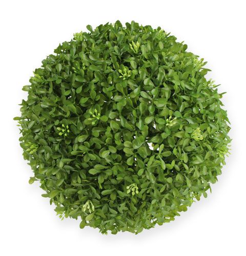 Floristik24 Dobozlabda Ø25cm