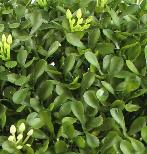 Floristik24 Dobozlabda Ø25cm