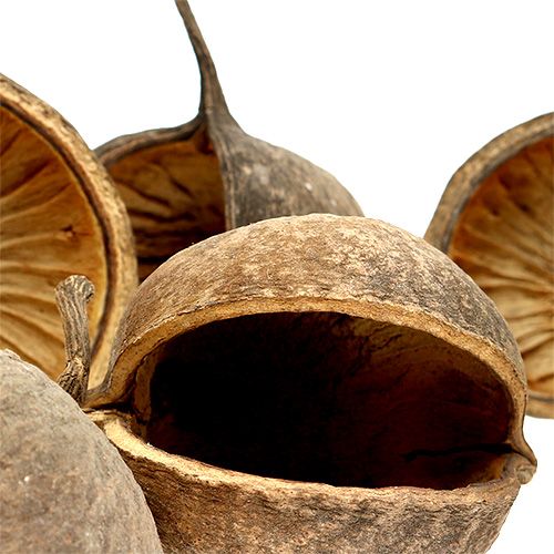 tételeket Buddha Nut Natural 15 db