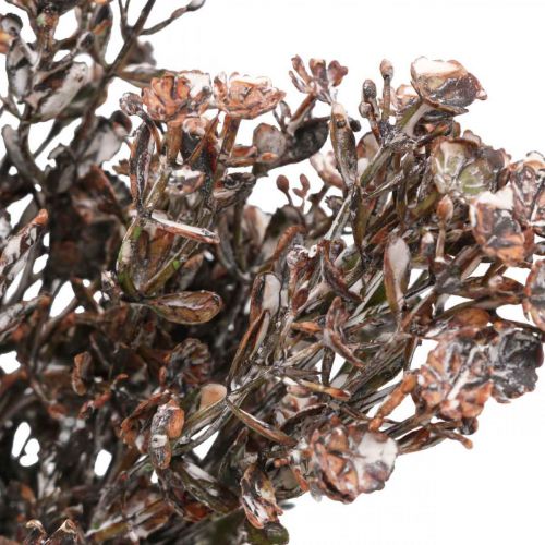 tételeket Mesterséges növények barna őszi dekoráció téli dekoráció Drylook 38cm 3db