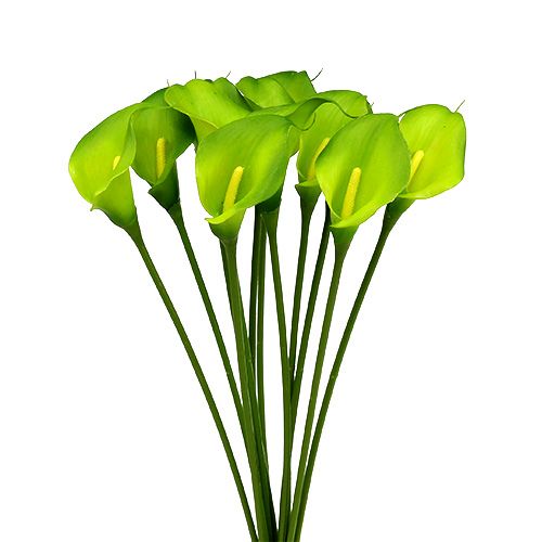Floristik24 Calla műzöld 8cm L57cm 12db