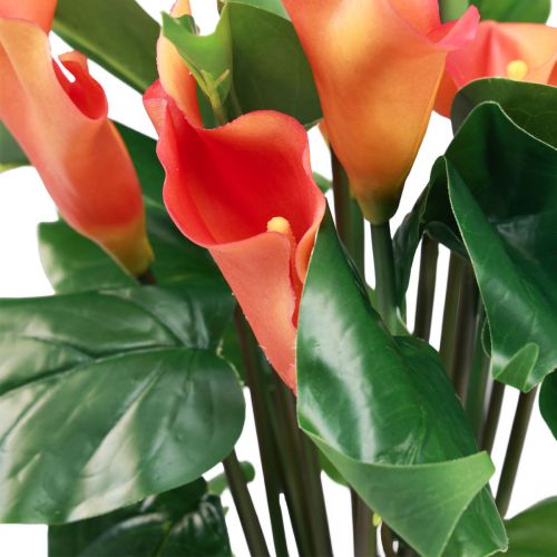 tételeket Calla Lily Sárgabarack Calla Művirágok Narancs Exotic 44cm