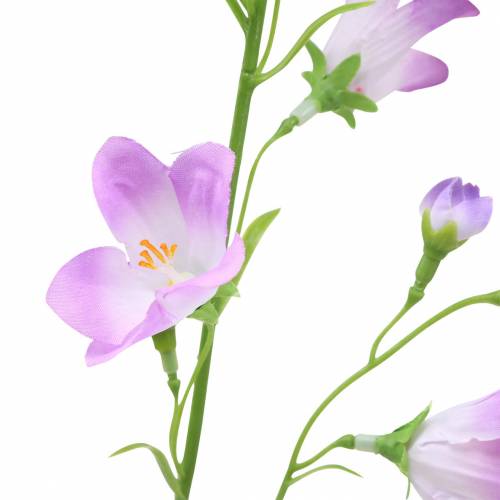 Floristik24 Mesterséges harangvirág Campanula Violet White 66cm