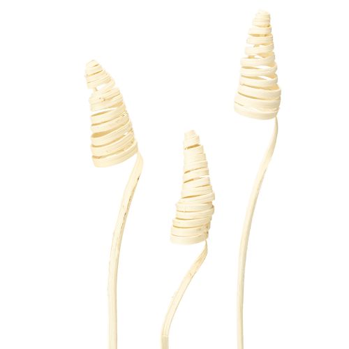 Floristik24 Cane Cone fehérített 25 db