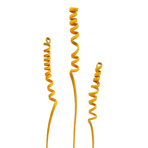 Floristik24 Cane Spring mini aranysárga 25 db