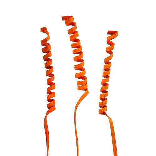 Floristik24 Cane Spring mini Orange 25db