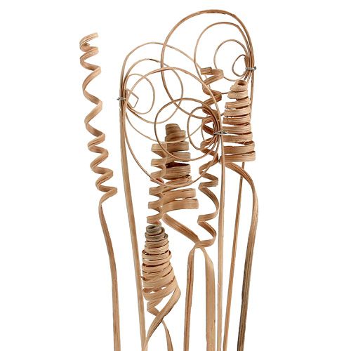 Floristik24 Mini natúr nádválogatás 75 darabos