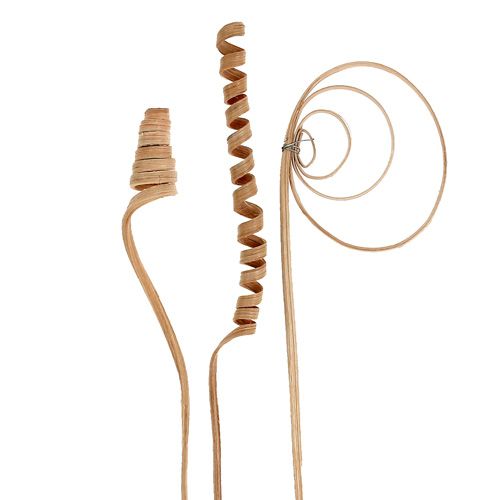 tételeket Mini natúr nádválogatás 75 darabos