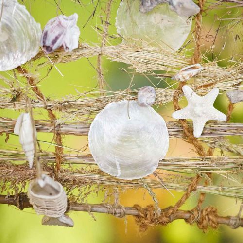 Floristik24 Capiz kagyló 250g