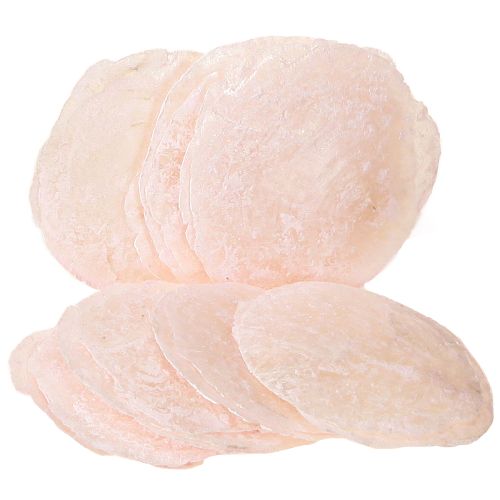 Floristik24 Capiz kagylók gyöngyház korongok deco kagylók világos rózsaszín Ø8cm