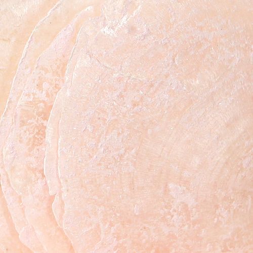 Floristik24 Capiz kagylók gyöngyház korongok deco kagylók világos rózsaszín Ø8cm