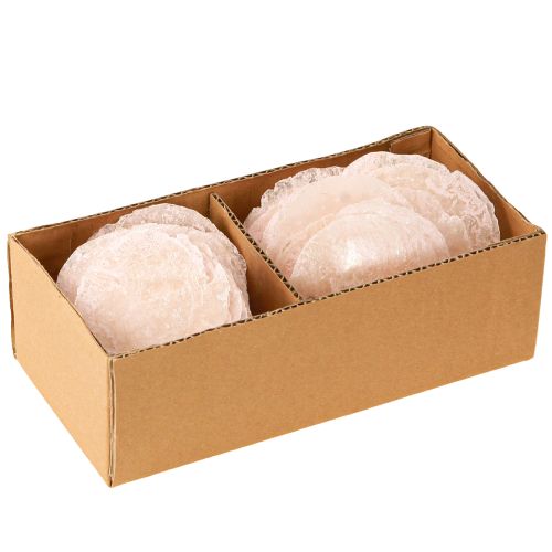 Floristik24 Capiz kagylók gyöngyház korongok deco kagylók világos rózsaszín Ø8cm