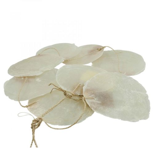 Floristik24 Capiz kagylófüzér gyöngyház, tengeri díszítéssel 100cm