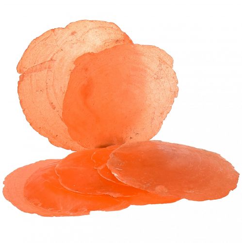 Floristik24 Capiz kagyló Capiz szeletek gyöngyház szeletek narancs 7,5-9,5 cm 300g