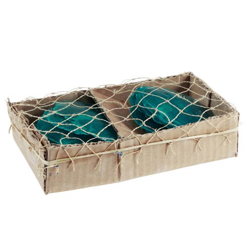 Floristik24 Capiz kagylók Capiz korongok gyöngyház korongok türkiz 7,5-9,5cm 300g