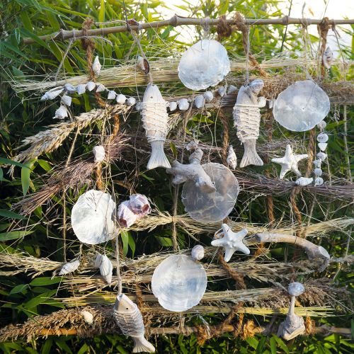 Floristik24 Capiz kagylók gyöngyház korongok tengeri dekoráció Ø7cm 600g