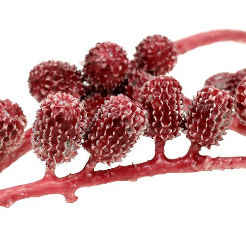 Floristik24 Casurina kúp piros, viaszos 110g