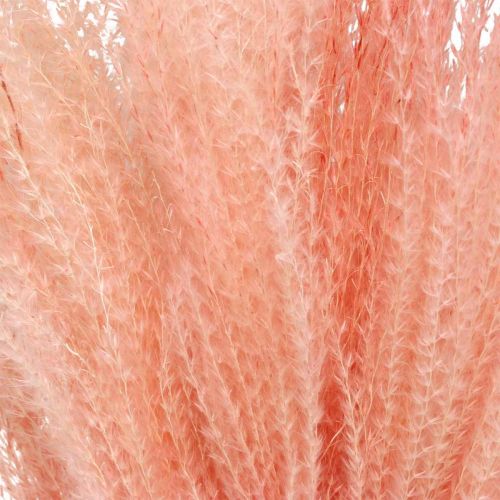 tételeket Miscanthus Miscanthus világos rózsaszín száraz fű 75 cm műnövény szobadekoráció 10 db-os csomag