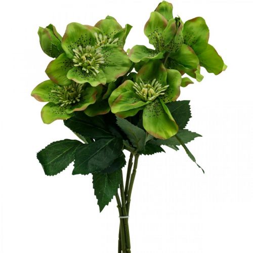 tételeket Karácsonyi rózsa Nagyböjti rózsa Hellebore művirág zöld L34cm 4db