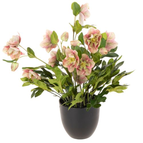 Művirág cserepes hunyor, karácsonyi rózsa, lakberendezési tárgy, 50cm vétel | Floristik24.hu