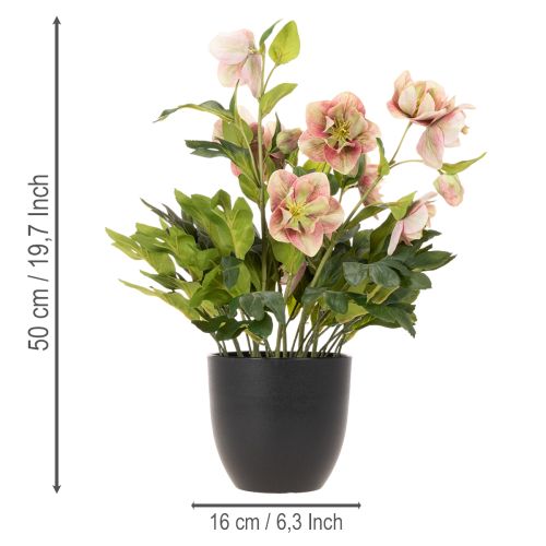 Művirág cserepes hunyor, karácsonyi rózsa, lakberendezési tárgy, 50cm | Floristik24.hu