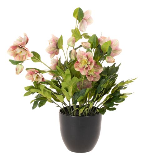 Művirág cserepes hunyor, karácsonyi rózsa, lakberendezési tárgy, 50cm | Floristik24.hu