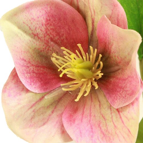 Floristik24 Elegáns karácsonyi rózsaszín rózsák csokor – 35 cm 6 db.