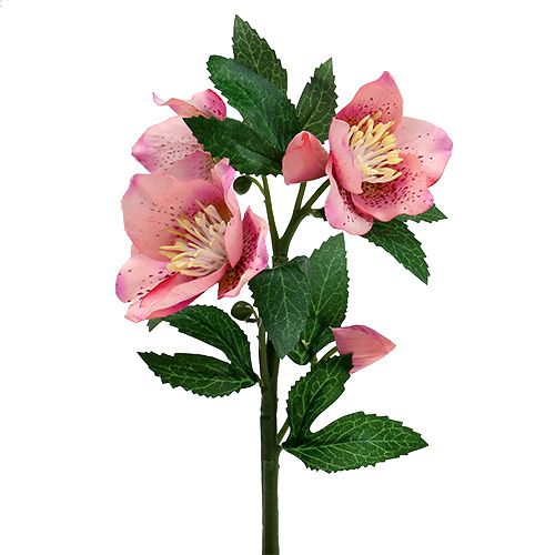 Floristik24 Karácsonyi rózsa rózsaszín L22cm 1db