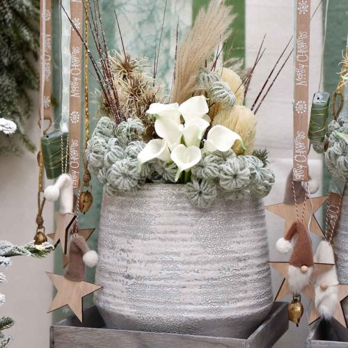 Floristik24 Clematis zöld hóval 43cm 3 db