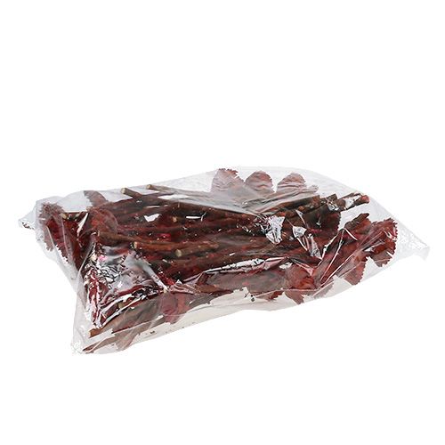 tételeket Compacta Rosette Erika 40 db