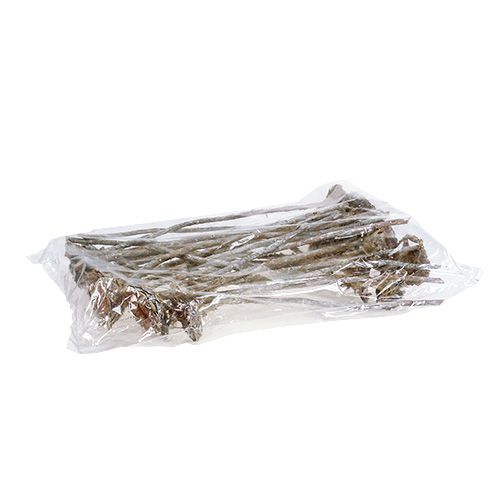 Floristik24 Coronata Rosette 25 db Mosott fehér