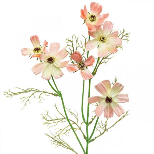 tételeket Cosmea ékszerkosár Barack művirág nyári virágok 61cm