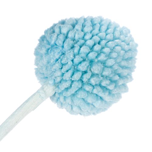 tételeket Craspedia szárított virágdísz vázába, minimalista stílusú, tartós nyári dekoráció, 55cm, 20 darab