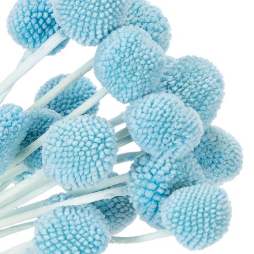 tételeket Craspedia szárított virágdísz vázába, minimalista stílusú, tartós nyári dekoráció, 55cm, 20 darab